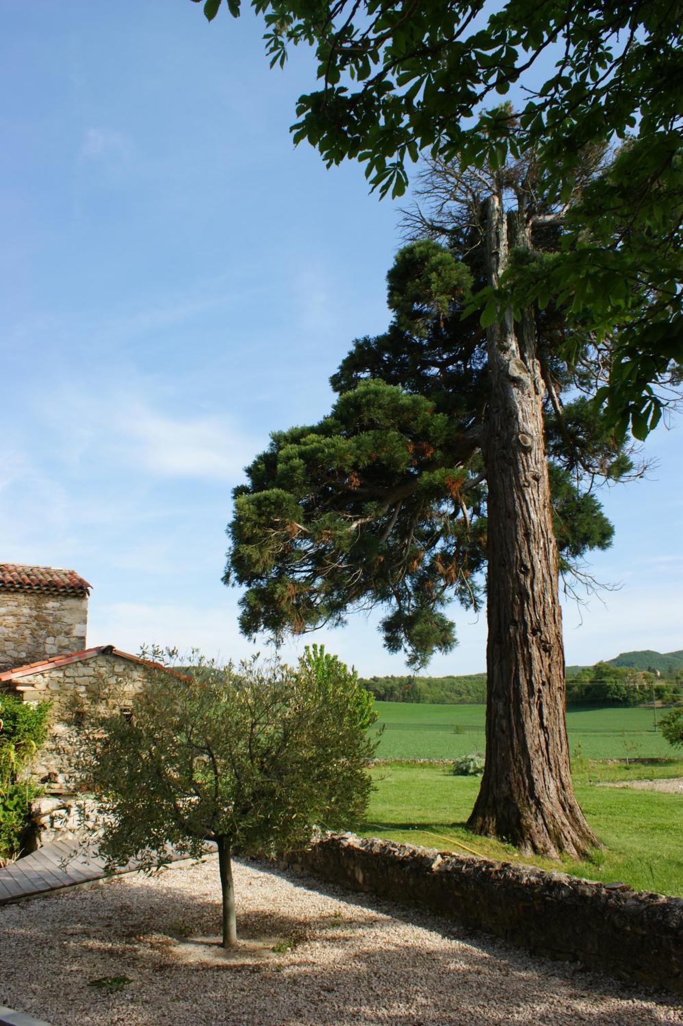 Le Prieure Des Sources Hotel La Répara Exterior foto